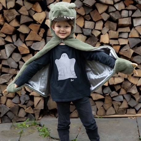 Déguisement enfant cape dinosaure t rex toute douce Vert 6 - vertbaudet enfant 