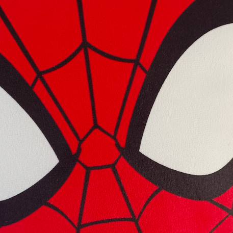 Coussin forme imprimé 100% polyester, spiderman hero head Rouge 4 - vertbaudet enfant 