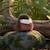 Peluche oiseau les cui-cui paradis 15 cm Bleu+Marron+Noir+Orange+Rose+Vert 10 - vertbaudet enfant 
