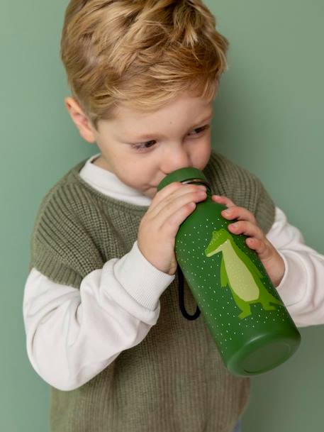 Gourde 500 ml bleu+jaune+marron+mauve+Mr Dino+Mr Fox+Mr Lion+Mrs Cat+Mrs Mouse+Mrs Rabbit+Mrs Unicorn+rose pâle+vert sapin 58 - vertbaudet enfant 