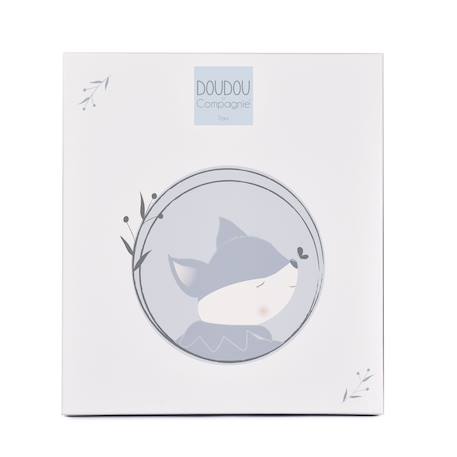 Doudou plat renard 29 cm Bleu+Rose 3 - vertbaudet enfant 