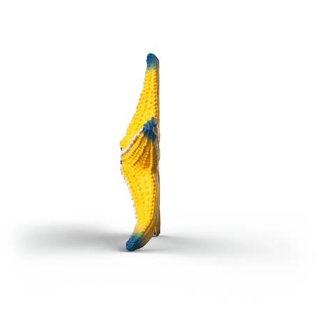 Figurine etoile de mer changeant de couleur Rouge 5 - vertbaudet enfant 