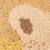 Tapis lion (117 x 110 cm) Blanc, beige, marron 3 - vertbaudet enfant 