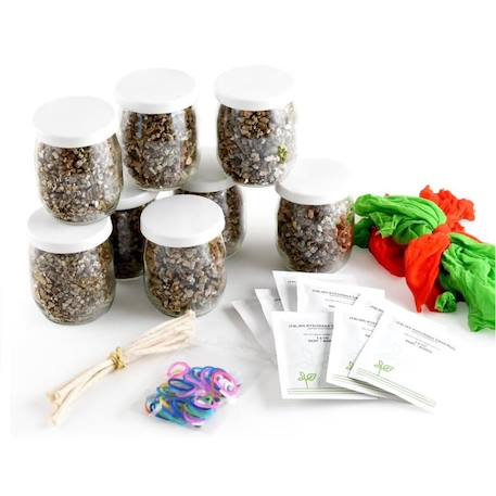 Coffret diy - mr patate à faire pousser Orange 3 - vertbaudet enfant 