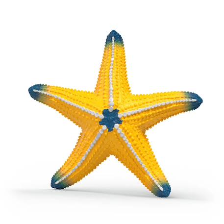 Figurine etoile de mer changeant de couleur Rouge 3 - vertbaudet enfant 