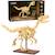Squelette de vélociraptor 256 pièces Beige 4 - vertbaudet enfant 