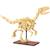 Squelette de vélociraptor 256 pièces Beige 1 - vertbaudet enfant 