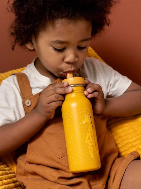 Gourde 500 ml bleu+jaune+marron+mauve+Mr Dino+Mr Fox+Mr Lion+Mrs Cat+Mrs Mouse+Mrs Rabbit+Mrs Unicorn+rose pâle+vert sapin 8 - vertbaudet enfant 
