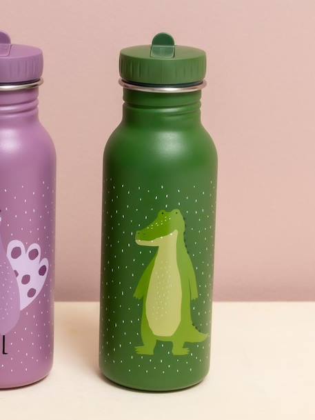 Gourde 500 ml bleu+jaune+marron+mauve+Mr Dino+Mr Fox+Mr Lion+Mrs Cat+Mrs Mouse+Mrs Rabbit+Mrs Unicorn+rose pâle+vert sapin 59 - vertbaudet enfant 