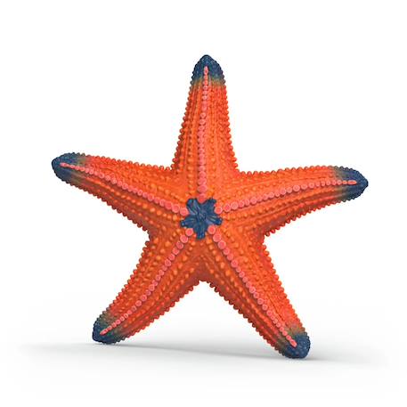 Figurine etoile de mer changeant de couleur Rouge 1 - vertbaudet enfant 