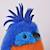 Peluche oiseau les cui-cui paradis 15 cm Bleu+Marron+Noir+Orange+Rose+Vert 4 - vertbaudet enfant 