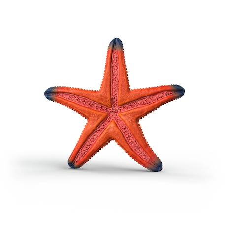 Figurine etoile de mer changeant de couleur Rouge 6 - vertbaudet enfant 