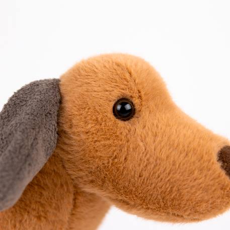 Edward le chien à tirer Marron 6 - vertbaudet enfant 
