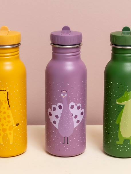 Gourde 500 ml bleu+jaune+marron+mauve+Mr Dino+Mr Fox+Mr Lion+Mrs Cat+Mrs Mouse+Mrs Rabbit+Mrs Unicorn+rose pâle+vert sapin 21 - vertbaudet enfant 
