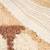 Tapis lion (117 x 110 cm) Blanc, beige, marron 2 - vertbaudet enfant 