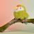 Peluche oiseau les cui-cui paradis 15 cm Bleu+Marron+Noir+Orange+Rose+Vert 34 - vertbaudet enfant 