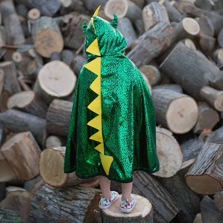 Déguisement enfant cape réversible chevalier dragon Vert 2 - vertbaudet enfant 