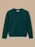 Pull en cachemire garçon Marine+Vert 5 - vertbaudet enfant 