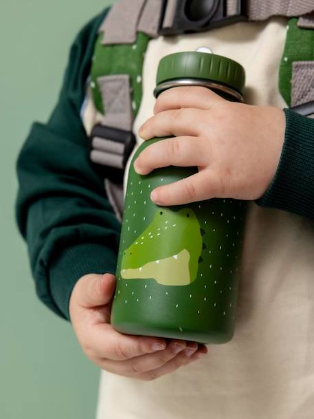 Gourde 350 ml bleu glacier+bleu pétrole+jaune+marron+mauve+Mr Dino+Mr Fox+Mr Lion+Mrs Cat+Mrs Elephant+Mrs Rabbit+Mrs Unicorn+rose pâle+rouge+vert sapin 58 - vertbaudet enfant 