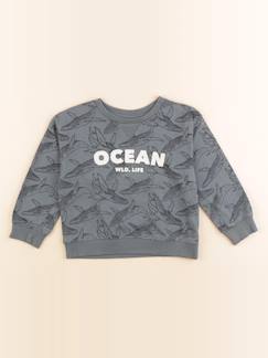 Seconde main-Garçon-Sweat - 4 ans