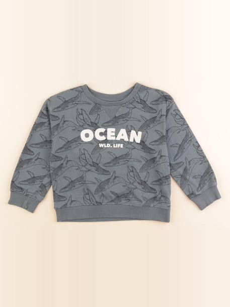 Sweat - 4 ans Vert 1 - vertbaudet enfant 