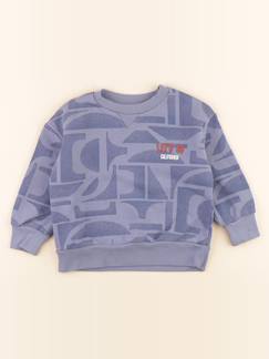 Seconde main-Garçon-Sweat - 3 ans