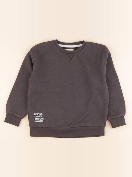 Sweat imprimé au dos - 6 ans Gris 1 - vertbaudet enfant 