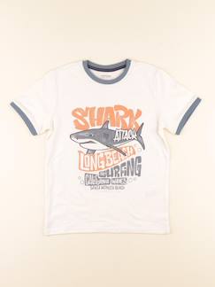 Seconde main-Garçon-Tee-shirt - 10 ans
