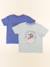 Lot de 2 tee-shirts - 8 ans Bleu, vert 1 - vertbaudet enfant 