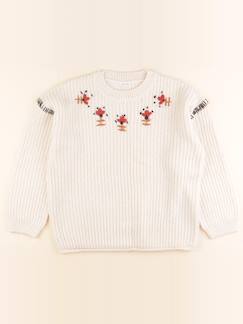 Seconde main-Fille-Pull - 14 ans