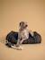 Jouet pour chien - collection fine truffe Carreaux ecossais vert 3 - vertbaudet enfant 