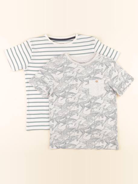 Lot de 2 tee-shirts - 8 ans Vert 1 - vertbaudet enfant 