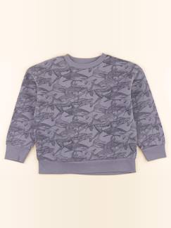 Seconde main-Garçon-Sweat - 8 ans