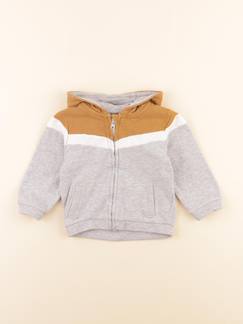 Seconde main-Garçon-Sweat - 12 mois