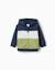 Sweat zippé en coton peigné à capuche et bloc de couleurs Bleu foncé 1 - vertbaudet enfant 