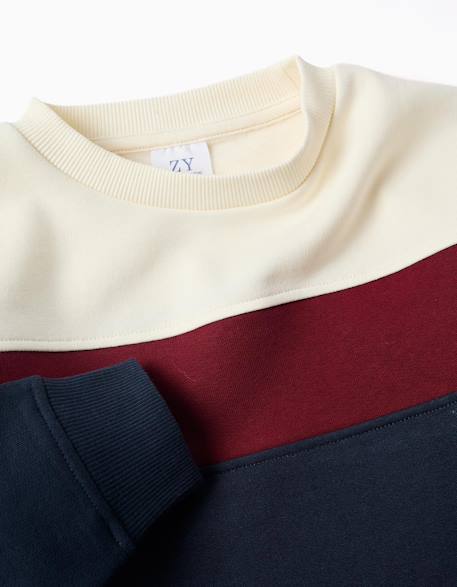 Sweat en coton peigné à bloc de couleurs Rouge foncé 3 - vertbaudet enfant 