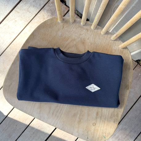 Sweat en molleton jules Bleu 5 - vertbaudet enfant 