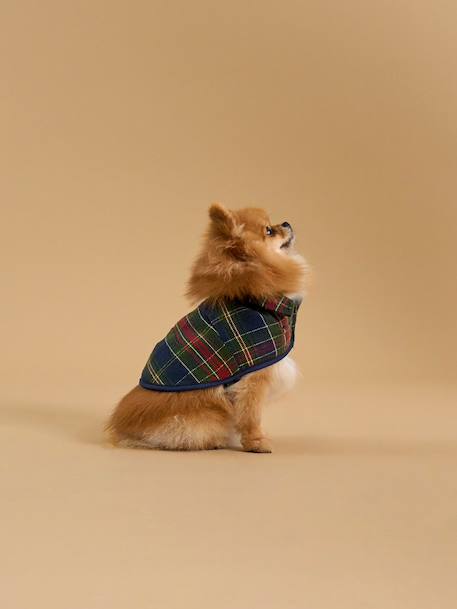 Manteau pour chien doublé  - collection fine truffe Carreaux ecossais vert 1 - vertbaudet enfant 