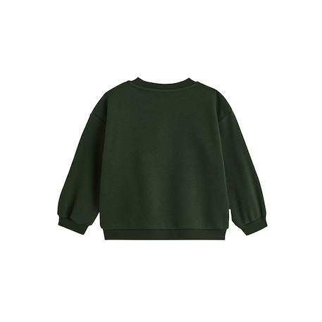 Sweat en molleton cool Vert 3 - vertbaudet enfant 