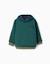 Sweat en coton peigné à capuche et imprimé clay horse Vert foncé 1 - vertbaudet enfant 