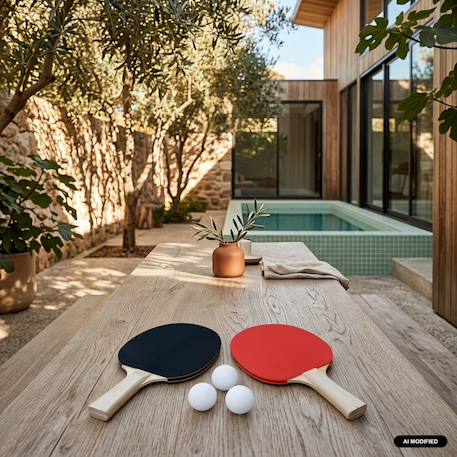 Lot de 2 raquettes et 3 balles pour table de ping pong, sport tennis de table, kit de ping pong Noir et rouge 1 - vertbaudet enfant 