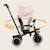 Tricycle évolutif 2en1 berry dès 9 mois avec sonnette et porte-gobelet Green forest+Grey stone+Pink rose 15 - vertbaudet enfant 