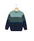 Pull 100% coton garçon Bleu / vert 1 - vertbaudet enfant 