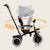 Tricycle évolutif 2en1 berry dès 9 mois avec sonnette et porte-gobelet Green forest+Grey stone+Pink rose 9 - vertbaudet enfant 