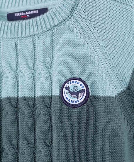 Pull 100% coton garçon Bleu / vert 3 - vertbaudet enfant 