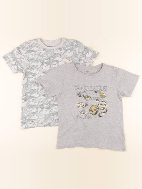Lot de 2 tee-shirts - 8 ans Gris, vert 1 - vertbaudet enfant 