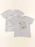 Lot de 2 tee-shirts - 8 ans Gris, vert 1 - vertbaudet enfant 