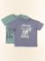 Lot de 2 tee-shirts - 10 ans Bleu, vert 1 - vertbaudet enfant 