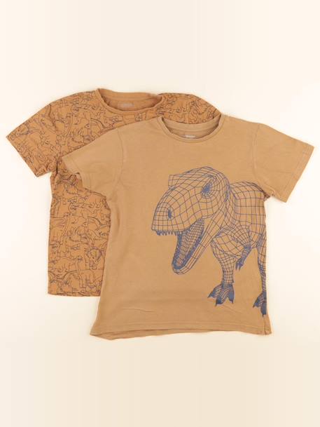 Lot de 2 tee-shirts - 10 ans Marron 1 - vertbaudet enfant 