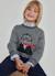 Pull garçon imprimé ours pilote Gris 1 - vertbaudet enfant 